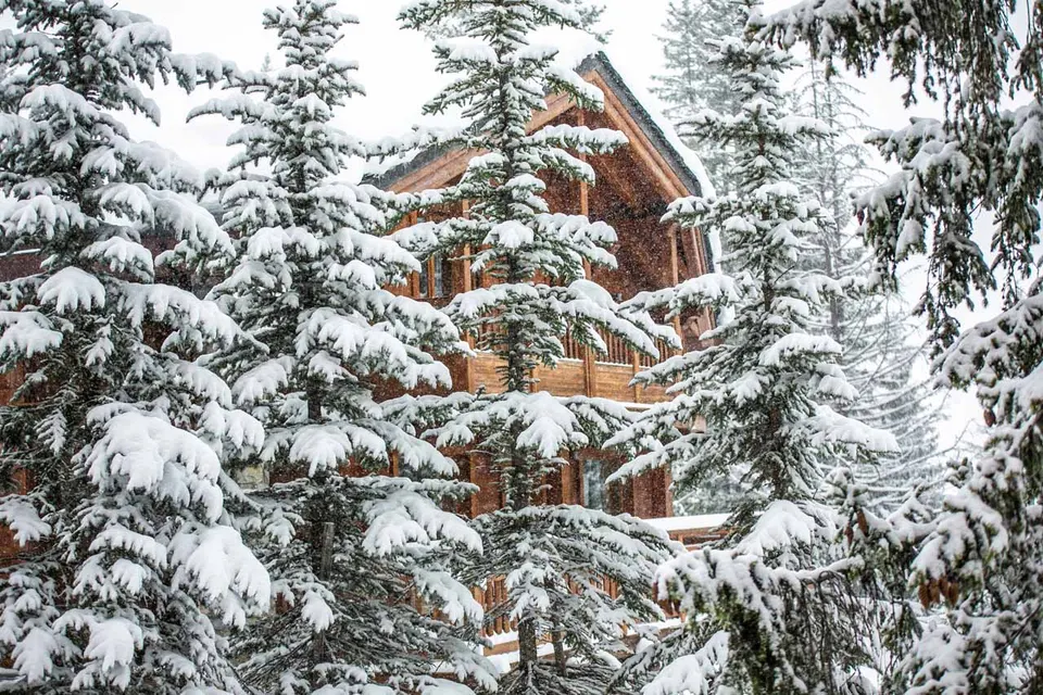 Chalet Timeless photograph 2